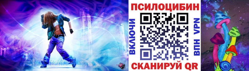 Псилоцибиновые грибы Psilocybe Белёв